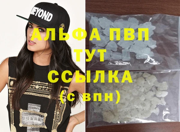индика Нязепетровск