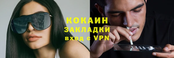 индика Нязепетровск