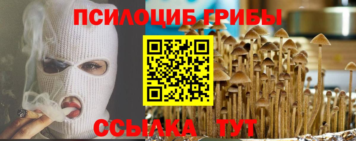 Галлюциногенные грибы мицелий  Ивантеевка 