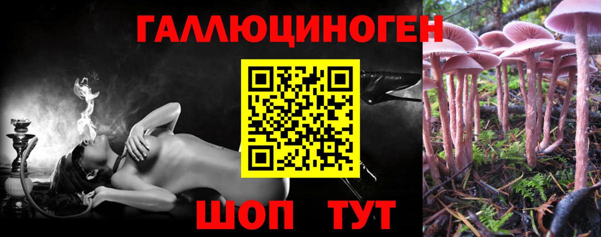 Галлюциногенные грибы мухоморы Ивантеевка